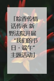 粽香传情话传承 新野法院开展“我们的节日・端午”主题活动