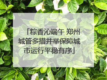 粽香沁端午 郑州城管多措并举保障城市运行平稳有序