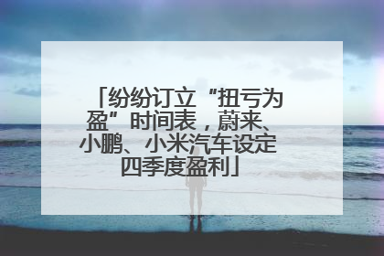 纷纷订立“扭亏为盈”时间表，蔚来、小鹏、小米汽车设定四季度盈利