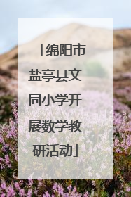 绵阳市盐亭县文同小学开展数学教研活动