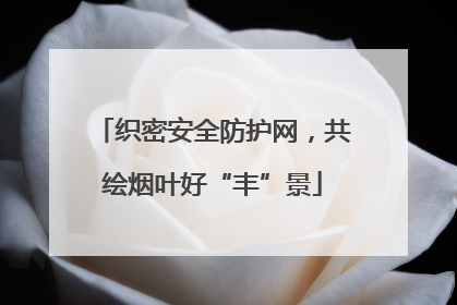 织密安全防护网，共绘烟叶好“丰”景