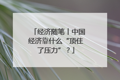 经济随笔丨中国经济靠什么“顶住了压力”？