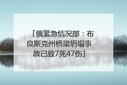 俄紧急情况部：布良斯克州桥梁坍塌事故已致7死47伤