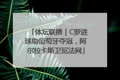 体坛联播｜C罗进球助葡萄牙夺冠，阿尔拉卡斯卫冕法网