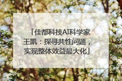 佳都科技AI科学家王凯：探寻共性问题，实现整体效益最大化
