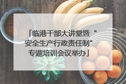 临港干部大讲堂暨“安全生产行政责任制”专题培训会议举办