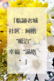 临颍老城社区：网格“暖治” 幸福“满格”