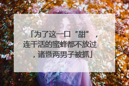 为了这一口“甜”，连干活的蜜蜂都不放过，诸暨两男子被抓