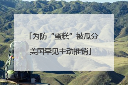 为防“蛋糕”被瓜分 美国罕见主动推销