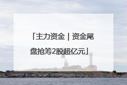 主力资金｜资金尾盘抢筹2股超亿元