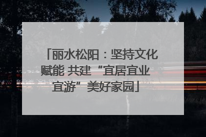 丽水松阳：坚持文化赋能 共建“宜居宜业宜游”美好家园