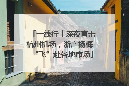 一线行丨深夜直击杭州机场，浙产杨梅“飞”赴各地市场