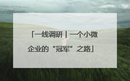 一线调研丨一个小微企业的“冠军”之路