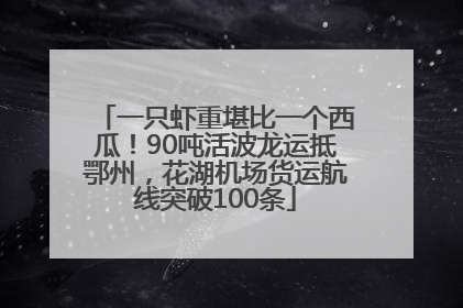一只虾重堪比一个西瓜！90吨活波龙运抵鄂州，花湖机场货运航线突破100条