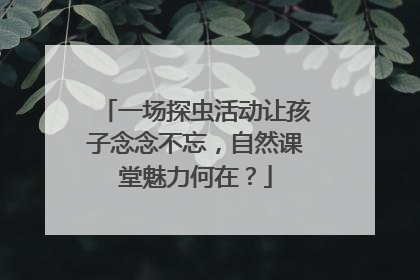 一场探虫活动让孩子念念不忘，自然课堂魅力何在？
