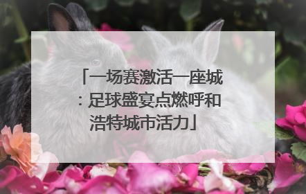 一场赛激活一座城：足球盛宴点燃呼和浩特城市活力