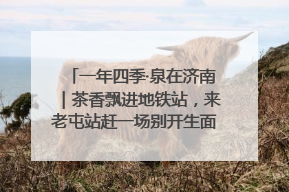 一年四季·泉在济南｜茶香飘进地铁站，来老屯站赶一场别开生面的“茶韵市集”！