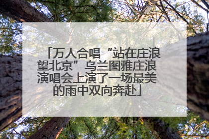 万人合唱“站在庄浪望北京”乌兰图雅庄浪演唱会上演了一场最美的雨中双向奔赴