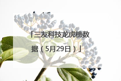 三友科技龙虎榜数据（5月29日）