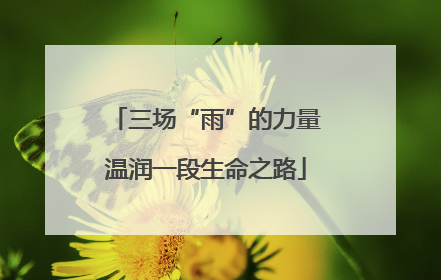 三场“雨”的力量温润一段生命之路