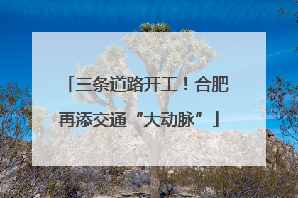 三条道路开工！合肥再添交通“大动脉”