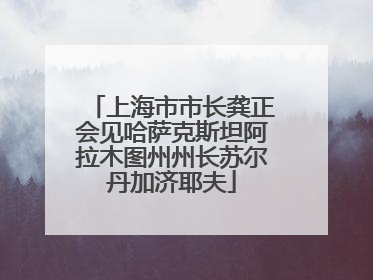 上海市市长龚正会见哈萨克斯坦阿拉木图州州长苏尔丹加济耶夫