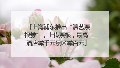 上海浦东推出“演艺票根券”，上传票根，最高酒店减千元景区减百元