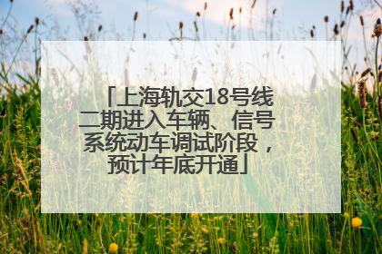 上海轨交18号线二期进入车辆、信号系统动车调试阶段，预计年底开通