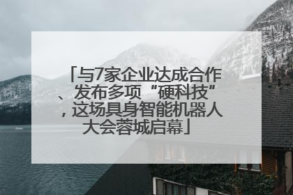 与7家企业达成合作、发布多项“硬科技”，这场具身智能机器人大会蓉城启幕