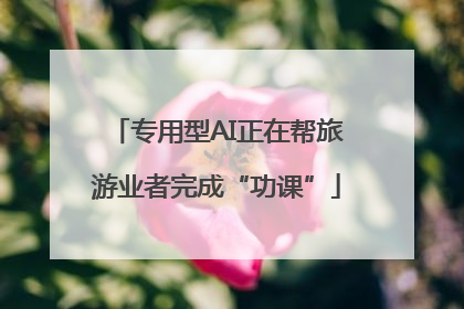 专用型AI正在帮旅游业者完成“功课”