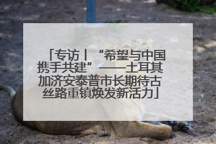 专访丨“希望与中国携手共建”——土耳其加济安泰普市长期待古丝路重镇焕发新活力