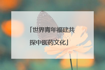 世界青年福建共探中医药文化