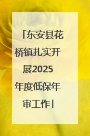东安县花桥镇扎实开展2025年度低保年审工作