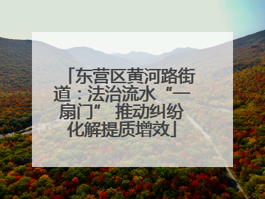 东营区黄河路街道：法治流水“一扇门” 推动纠纷化解提质增效