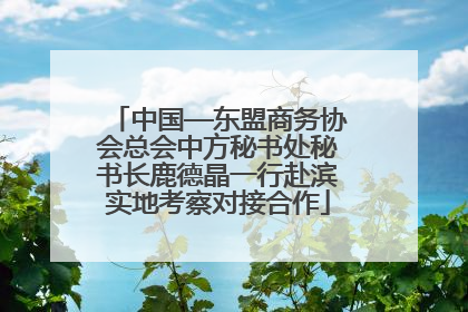 中国—东盟商务协会总会中方秘书处秘书长鹿德晶一行赴滨实地考察对接合作