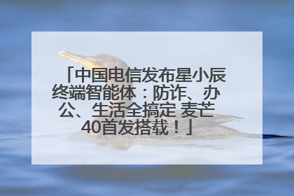 中国电信发布星小辰终端智能体：防诈、办公、生活全搞定 麦芒40首发搭载！