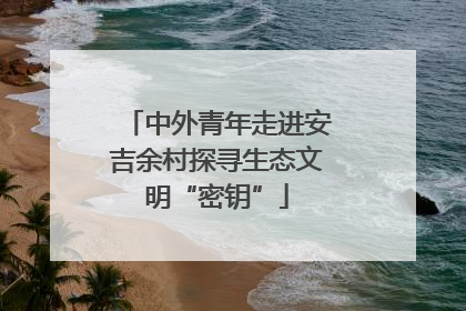 中外青年走进安吉余村探寻生态文明“密钥”