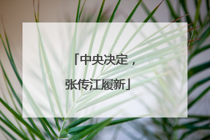 中央决定，张传江履新