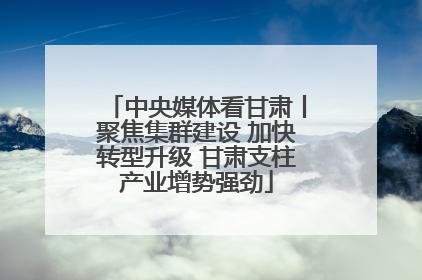 中央媒体看甘肃丨聚焦集群建设 加快转型升级 甘肃支柱产业增势强劲