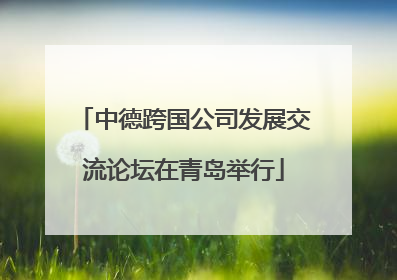 中德跨国公司发展交流论坛在青岛举行