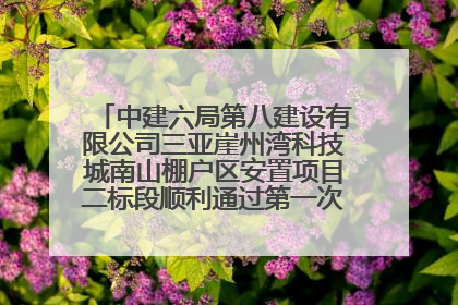 中建六局第八建设有限公司三亚崖州湾科技城南山棚户区安置项目二标段顺利通过第一次主体结构验收