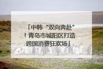 中韩“双向奔赴”！青岛市城阳区打造跨国消费狂欢场