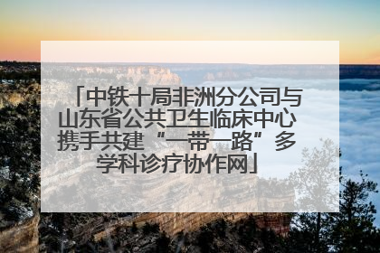中铁十局非洲分公司与山东省公共卫生临床中心携手共建“一带一路”多学科诊疗协作网