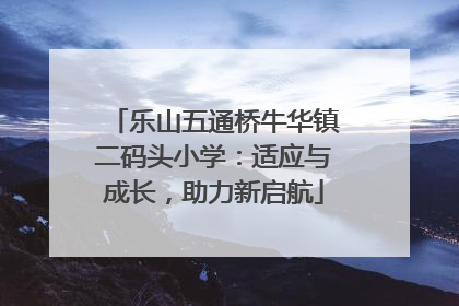 乐山五通桥牛华镇二码头小学：适应与成长，助力新启航