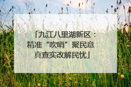 九江八里湖新区：精准“吹哨”聚民意 真查实改解民忧