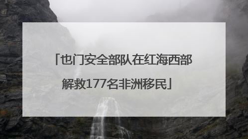 也门安全部队在红海西部解救177名非洲移民
