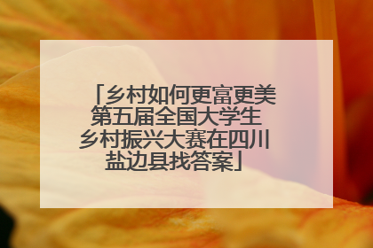 乡村如何更富更美 第五届全国大学生乡村振兴大赛在四川盐边县找答案