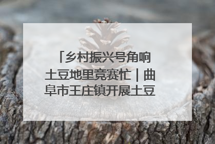乡村振兴号角响 土豆地里竞赛忙｜曲阜市王庄镇开展土豆收获劳动竞赛