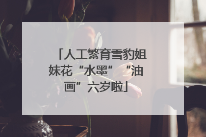 人工繁育雪豹姐妹花“水墨”“油画”六岁啦