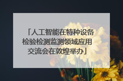 人工智能在特种设备检验检测监测领域应用交流会在敦煌举办